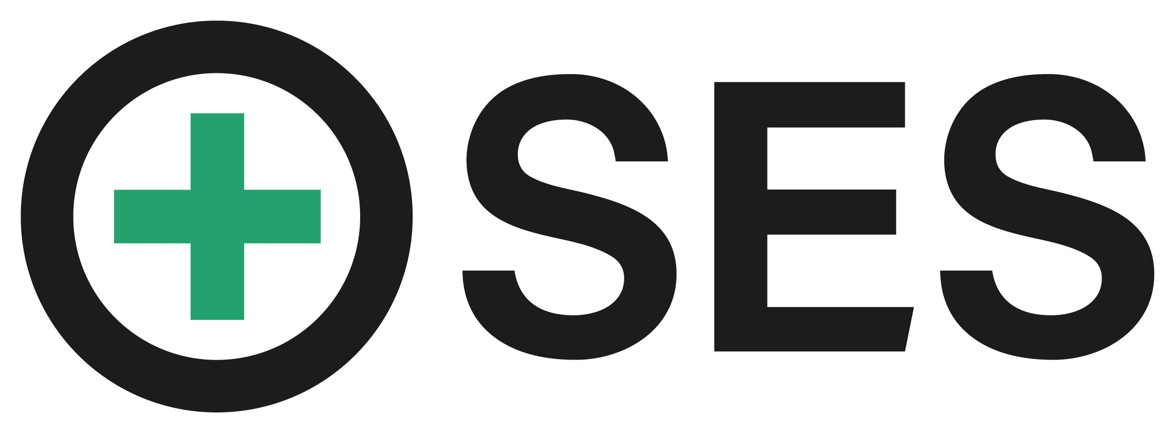 SES AI