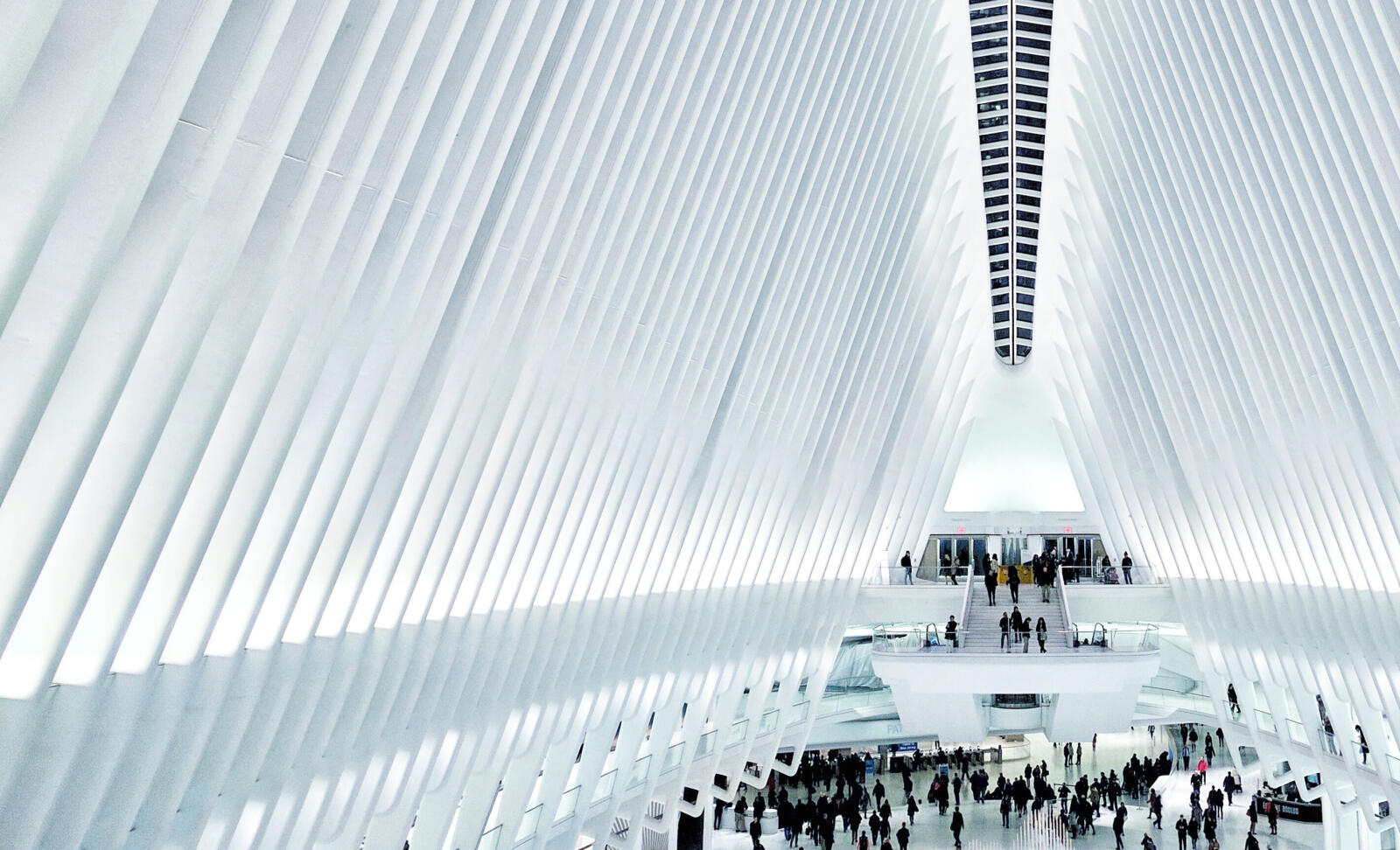 Enterprise & Commercial